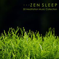 Brain Improvement - John Zen
