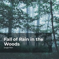 Woodland Rain Showers - Nature and Rain & Deep Rain Sampling & Jungle Rain