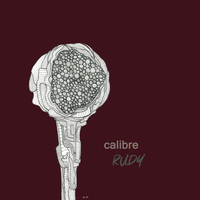 Cousin - Calibre