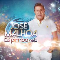 Simplesmente Acabou - José Malhoa