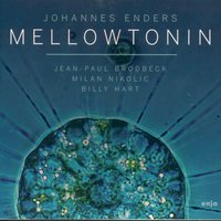 Circle Birds - Johannes Enders