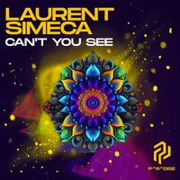 Can't You See - Laurent Simeca