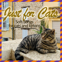 Celestial Paws - RelaxMyCat & Cat Music Dreams