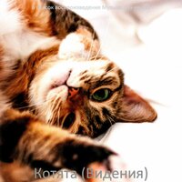 Музыка (Подчеркнутые кошки) - Музыка для кошек