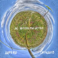 Да, несовершенство - Дарвин & Склад613
