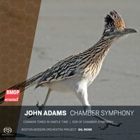 Common Tones in Simple Time - Boston Modern Orchestra Project & Gil Rose