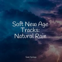 Seagulls on the Beach (Relaxing Ocean Waves) - Baby Sweet Dream & Nature Sounds Artists & Meditation Awareness