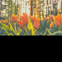 Background for Staying Fresh - Relaxing Jazz Music