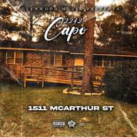 Motion - 2242 Capo