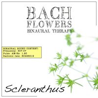 Scleranthus EFT Dose Therapy - Bach Flowers Dose