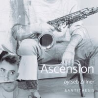 Falling - Seb Zillner & A N T I T H E S I S