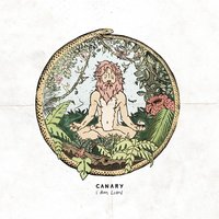 Disappointed - Canary