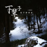 下辈子我不想再来 - 苍狼