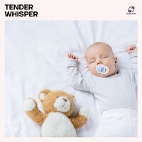 Sleepy Music - Dreamtime Lullabies & Rockabye & Baby Relax & Baby Slumber Songs