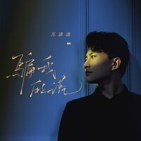 骗我的谎 - 苏潇潇
