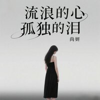流浪的心孤独的泪 - 尚妍