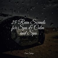 Rain Collection - The Sleep Helpers & Relaxing Rain Sounds & Pro Sound Effects Library