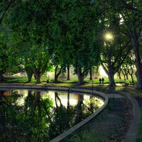 Hojas Que Caen Por El Arroyo - Dormir & Musica Para Dormir y Sonidos de la Naturaleza & Piano para Relajarse