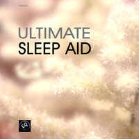 Absolute Sleep - Pillow Music Ensamble