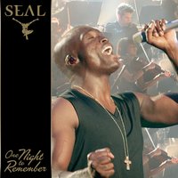 The Beginning - Seal