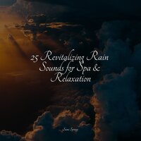 Splashing Drops - Zen Music Garden & White Noise Sleep Sounds & Massagem