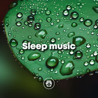 Summer Rain - Nature Ambience