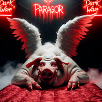 Chasing Shadows in the Night - PARAGOR