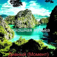 Книги - Роскошная музыка