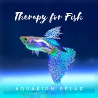 Fish Therapy - Pet Relax Academy