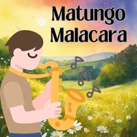 Matungo Malacara - Los Andinenses & Grupo Fantasía