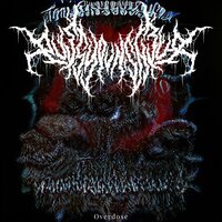 Overdose - PussyPunisher & XAILEX