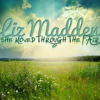 This Land Is Your Land - Liz Madden
