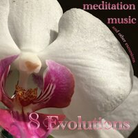 Sun Plexus - 8 Evolutions