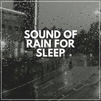 Biophilia Rain - Rainfall