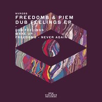 Never Again - FreedomB