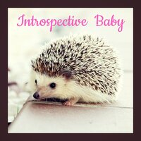 Calm Universe - Calm Music For Studying & Bébé Berceuse & Música Relajante para Bebés