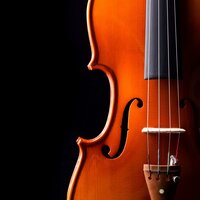 Feline Serenity Through Classical Music - Calm Music Guru & Cat Hour & Relaxing Music for Cats Radio