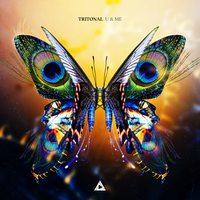 Hard Pass - Tritonal & RYANN