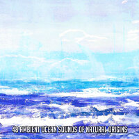 Beach Presence - Ocean Sounds Collection