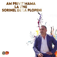 Calatori Suntem Prin Lume - SORINEL DE LA PLOPENI