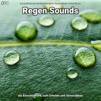 Regen Sounds, pt. 11 - Regengeräusche zum Einschlafen für Kinder & Regengeräusche & Naturgeräusche