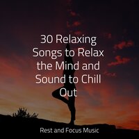 Soul & Dance - Música de la Naturaleza & Study Concentration & Guided Meditation Music Zone