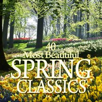 Handel: Organ Concerto No. 13 in F Major, HWV 295 "The Cuckoo and the Nightingale": III. Larghetto - Ton Koopman & Георг Фридрих Гендель