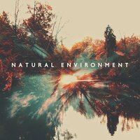 Sounds Paradise - Nature Sounds Paradise