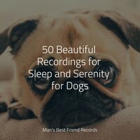Calm Music - Jazz Music Therapy for Dogs & RelaxMyDog & Jazz Music for Dogs