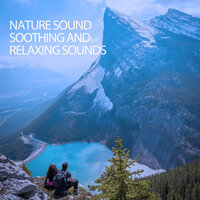 Spiral Of Ants - Music For Your Dog & Music for Working & Easy Listening Background Music
