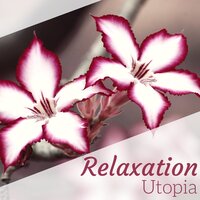 Lullaby for Today - Mind Relax Ensemble