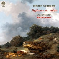 Sonate en Si-Bémol Majeur, Op. 6 No. 3: III. Minuetto - Arte Dei Suonatori & Martin Gester
