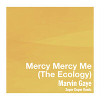 Mercy Mercy Me (The Ecology) - Marvin Gaye & Super Duper