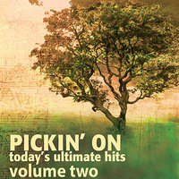(You Want To) Make A Memory (Bluegrass Tribute to Bon Jovi) - Pickin' On Series
